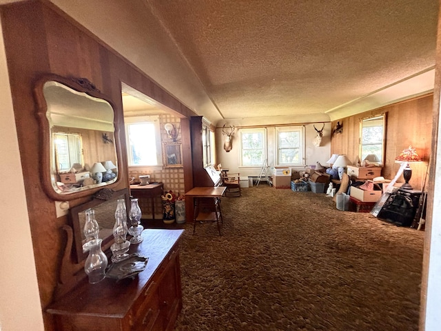 interior space featuring carpet floors and a textured ceiling