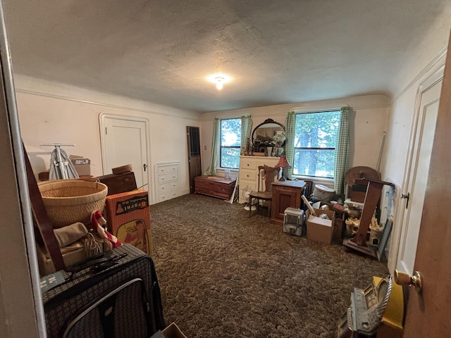 miscellaneous room with carpet flooring and a textured ceiling