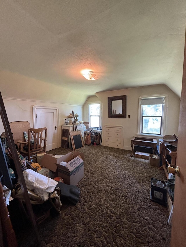 bonus room with vaulted ceiling, a textured ceiling, and carpet