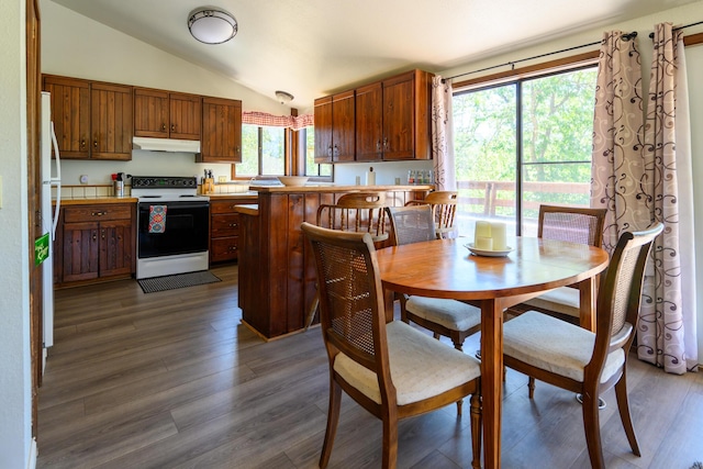 kitchen featuring vaulted ceiling, dark hardwood / wood-style floors, a healthy amount of sunlight, and white appliances