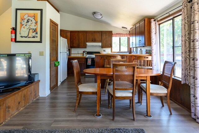 dining space with lofted ceiling and dark wood-type flooring