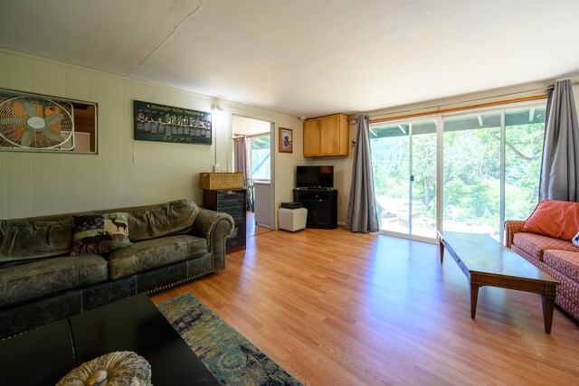 living room with light hardwood / wood-style floors and a wealth of natural light