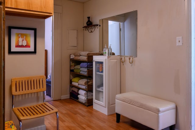 living area featuring light hardwood / wood-style flooring