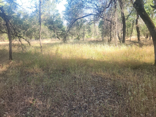 12910 Old Oregon Trl, Redding CA, 96003 land for sale