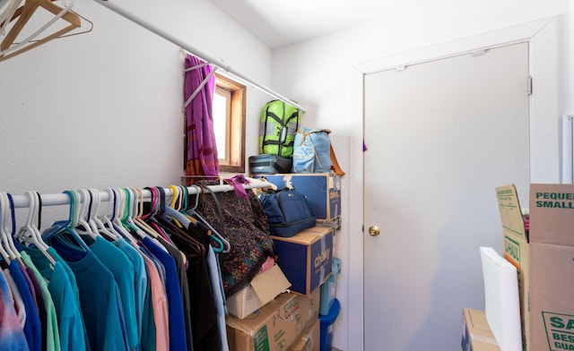 view of spacious closet