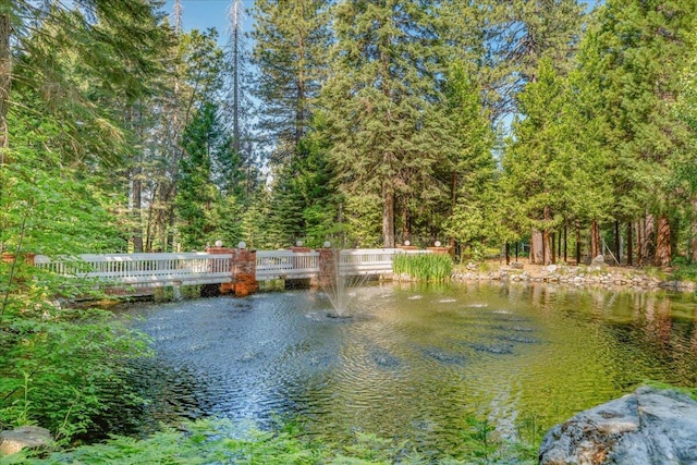 614 Shasta Way, Mount Shasta, CA 96067 - photo 17