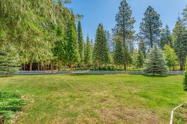614 Shasta Way, Mount Shasta, CA 96067 - photo 30
