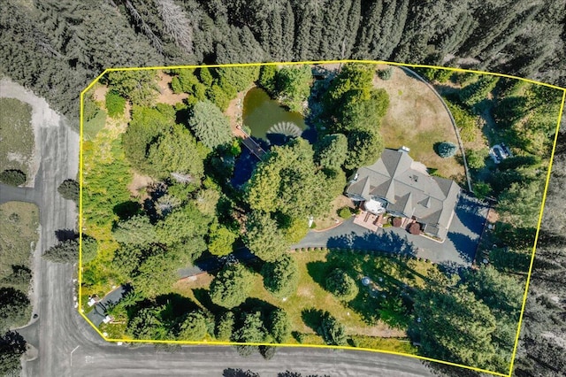 614 Shasta Way, Mount Shasta, CA 96067 - photo 76
