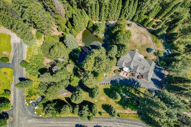 614 Shasta Way, Mount Shasta, CA 96067 - photo 77
