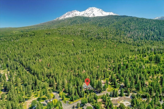 birds eye view of property featuring a mountain view