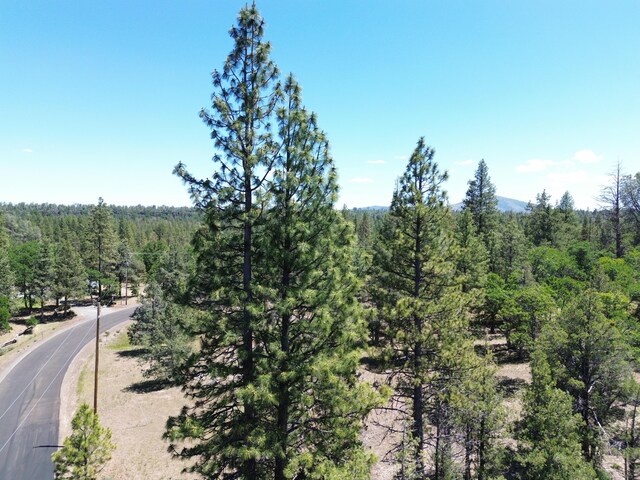 0000 Shoshoni Loop, Fall River Mills CA, 96028 land for sale