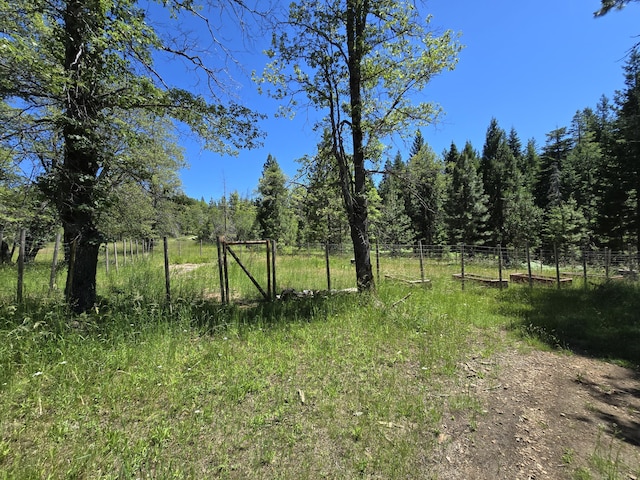 view of local wilderness