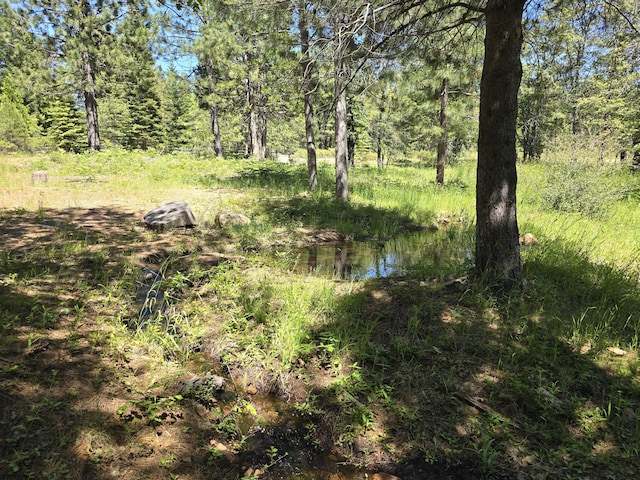 view of local wilderness with a water view