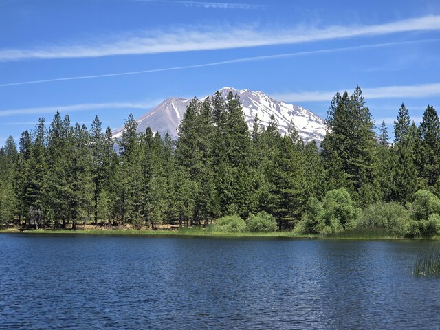 property view of water featuring a mountain view