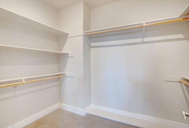 spacious closet with light colored carpet