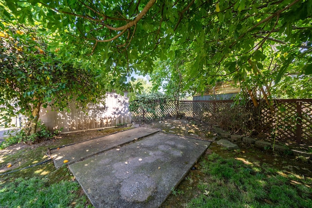 view of yard featuring a patio area