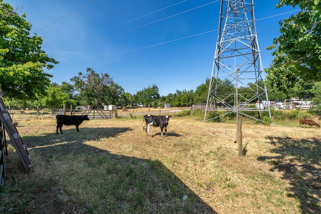 view of yard with a rural view