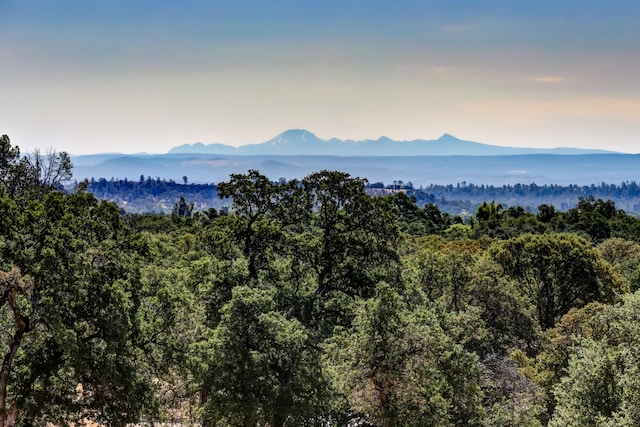 view of mountain feature