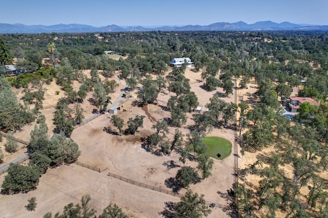 birds eye view of property featuring a mountain view