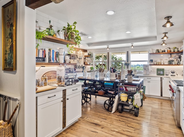 kitchen with white cabinetry, a tray ceiling, tasteful backsplash, and light hardwood / wood-style floors