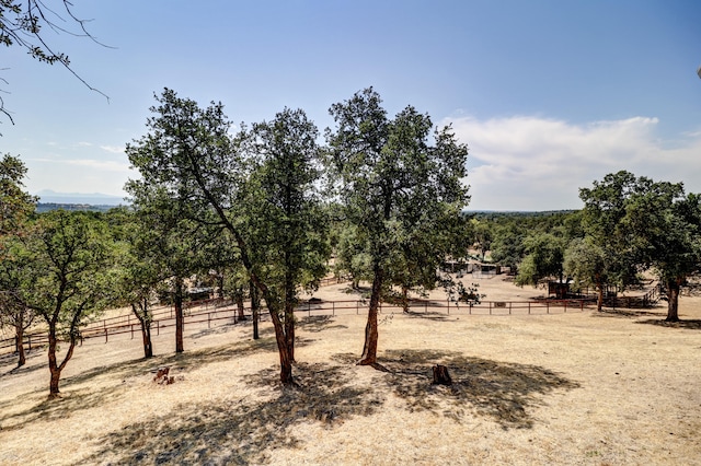 view of local wilderness featuring a rural view