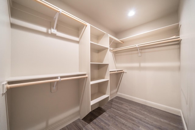 walk in closet with dark wood finished floors