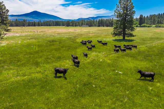 bird's eye view with a mountain view and a rural view