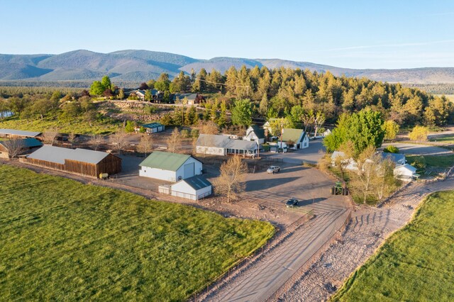 27744 Lee Rd, Mcarthur, CA 96056 - drone / aerial view with a mountain view