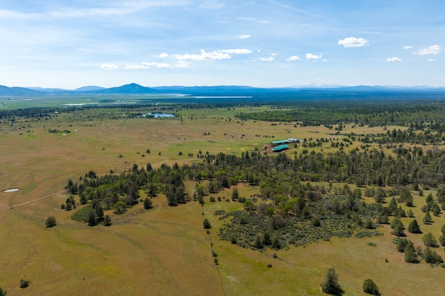 drone / aerial view featuring a mountain view