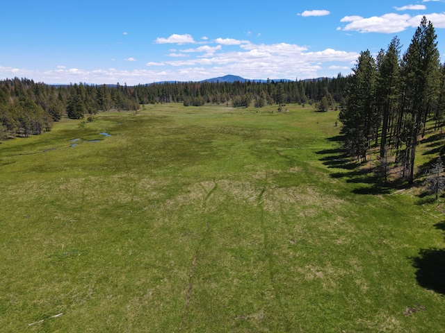 27744 Lee Rd, Mcarthur, CA 96056 - exterior space featuring a mountain view and a view of trees