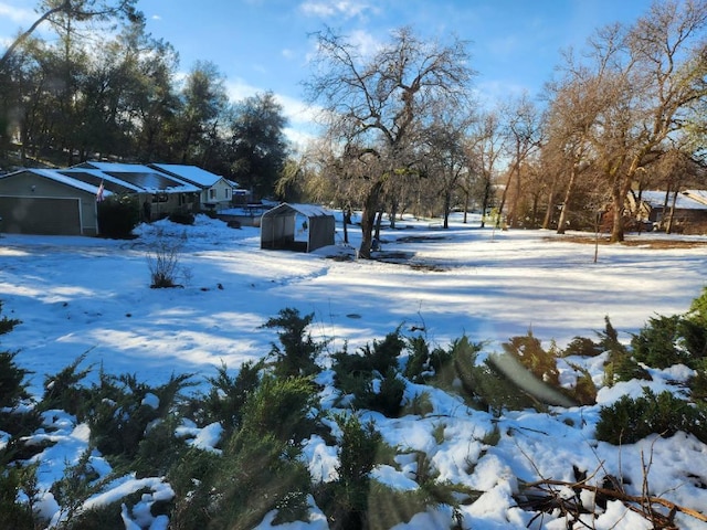 view of yard layered in snow