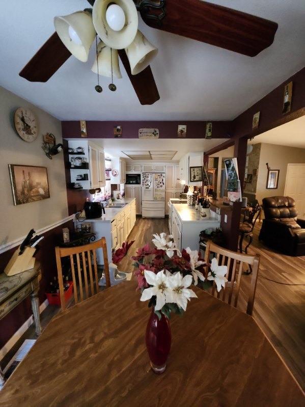 dining room with sink, hardwood / wood-style floors, and ceiling fan