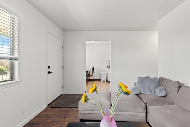 living room with dark wood-type flooring