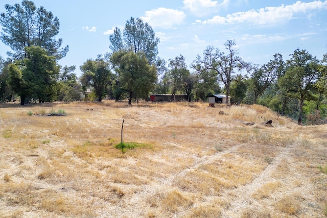 view of yard with a rural view