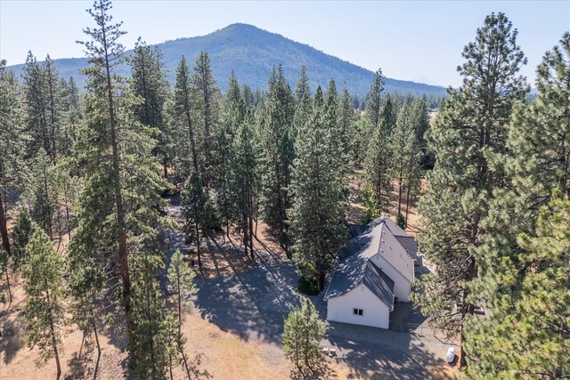 birds eye view of property featuring a mountain view