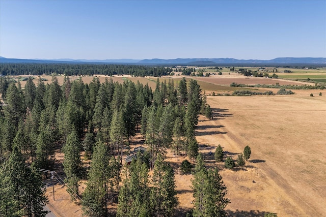 bird's eye view featuring a mountain view