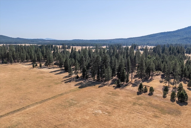 drone / aerial view with a mountain view