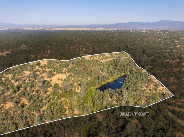 0000 Two Feathers, Cottonwood CA, 96022 land for sale