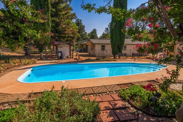 view of pool featuring a patio