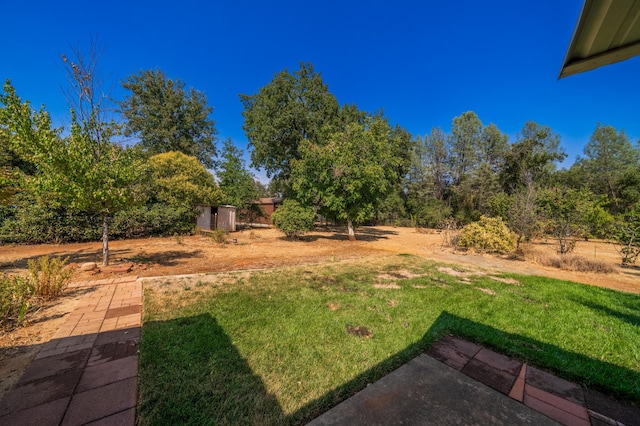 view of yard featuring an outbuilding and a storage shed