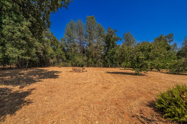 view of local wilderness