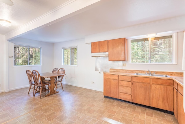 kitchen with crown molding and sink