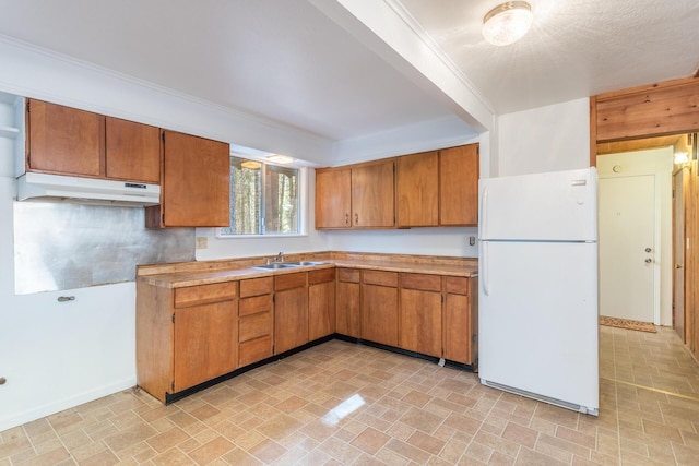 kitchen with sink, ornamental molding, and white refrigerator