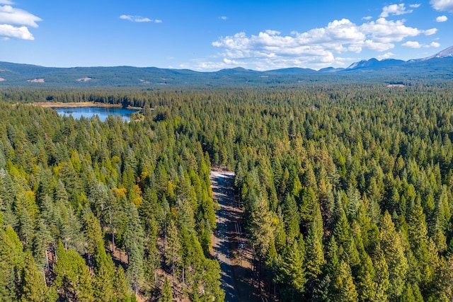 drone / aerial view featuring a water and mountain view