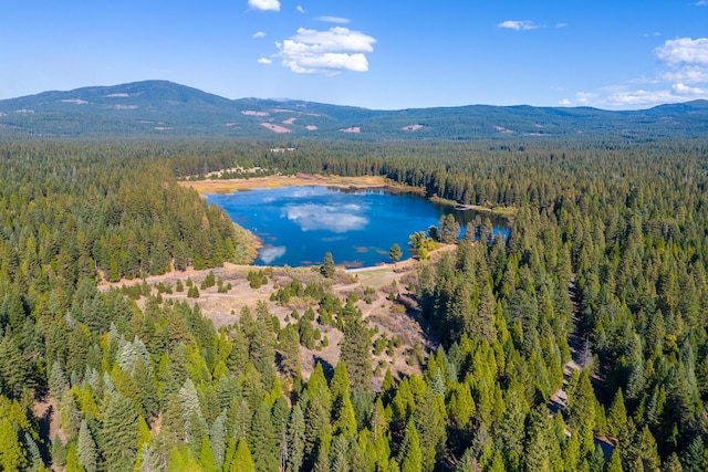 birds eye view of property featuring a water and mountain view