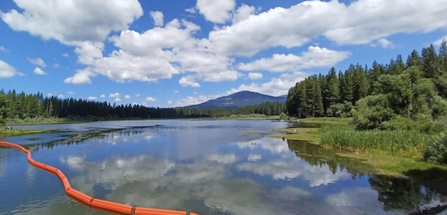 water view with a mountain view