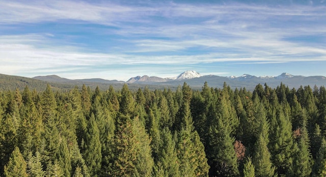 view of mountain feature