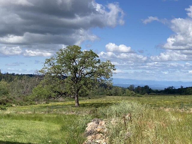 view of nature with a rural view