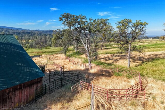 view of yard with a rural view