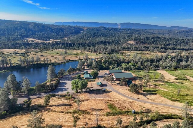 birds eye view of property with a water and mountain view